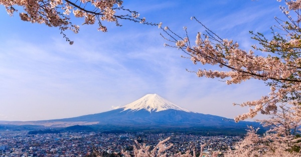 Japán cseresznyevirágzáskor