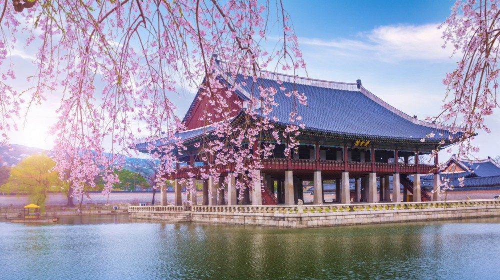 Korea találat