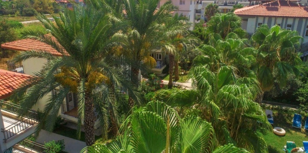 SUNLIGHT GARDEN ***