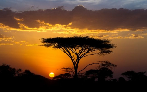 Szafari Észak-Tanzánia nemzeti parkjaiban és nyaralás a mesés Zanzibáron 2023.02.17-27.