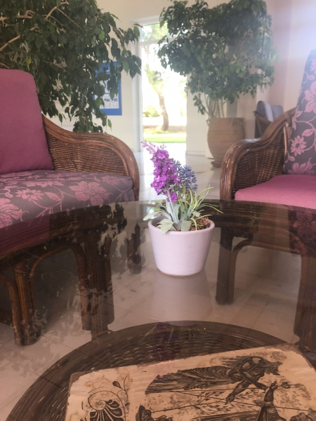 Palatino Hotel ***