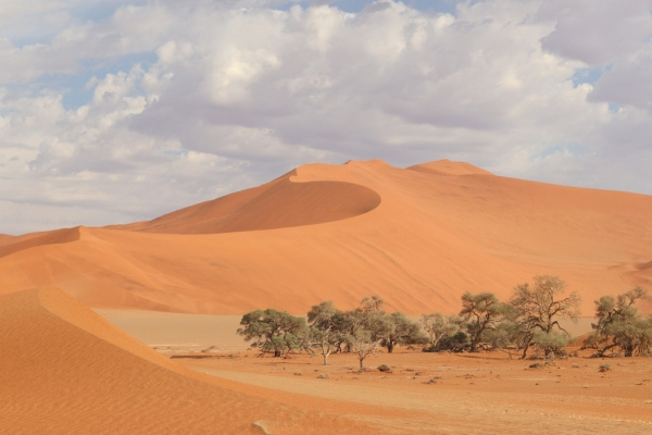 Körutazás Namíbiában ***