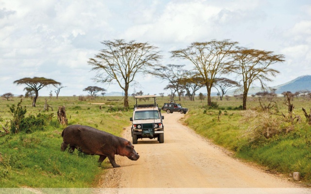 Serengeti szafari program pihenéssel Zanzibár szigetén - kiscsoportos körutazás és nyaralás 2026