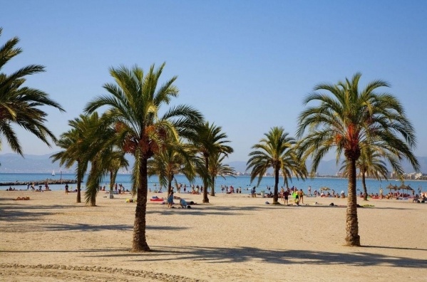 WHALA!BEACH ***