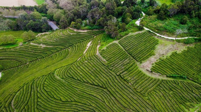 A lenyűgöző Azori-szigetek - Terceira és Sao Miguel felfedezése - csoportos körutazás