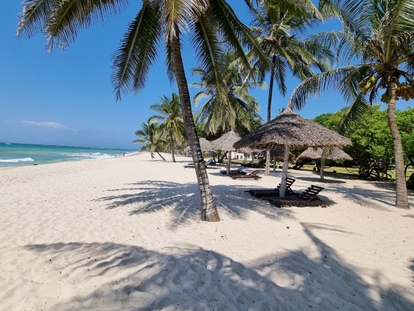 Jacaranda Indian Ocean Beach Resort****, FP/TP, repülővel