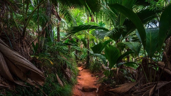 SEYCHELLES - AZ INDIAI-ÓCEÁN ÁLOMSZIGETEI ****