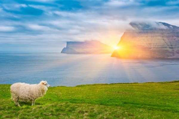 Csoportos utazás a Feröer szigetekre magyar idegenvezetéssel 2026.08.19-23.