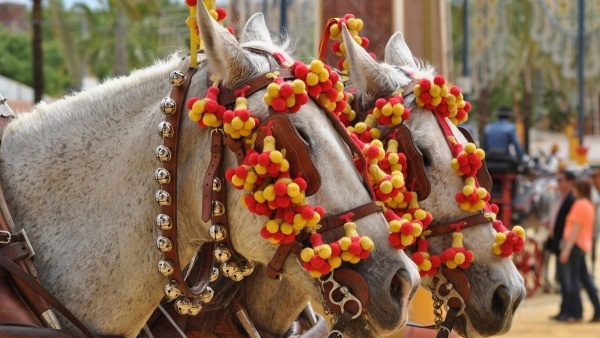 SEVILLAI VÁROSLÁTOGATÁS - ANDALÚZ HANGULATOK ***