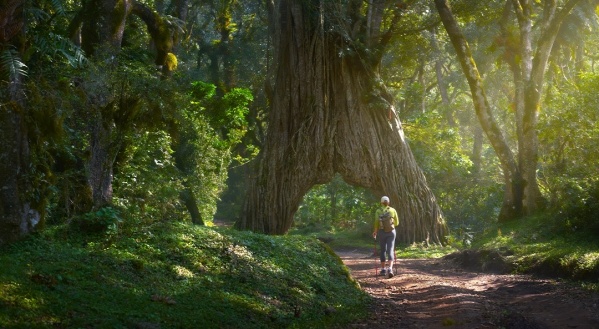 Tanzániai szafari és nyaralás Zanzibáron