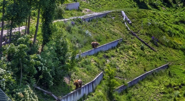 A hófödte hegyek közt Svájcban