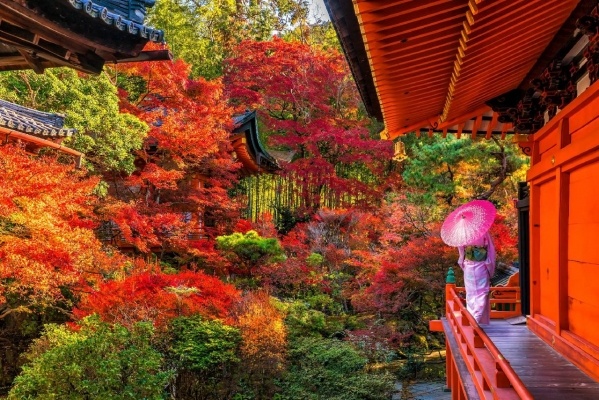 JAPÁN - ŐSZI SZÍNEK ÉS KARÁCSONYI FÉNYEK