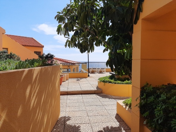 CAIS DA OLIVEIRA ****