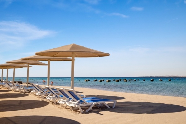 SRNTY SAHL HASHEESH *****