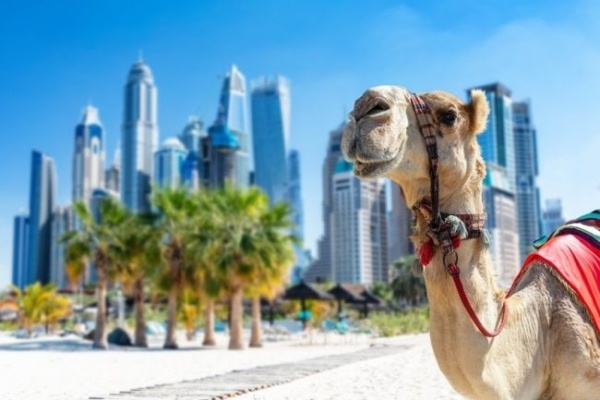 Őszi szünet Dubajban - csoportos utazás magyar idegenvezetővel 2026.10.28. - 11.02.
