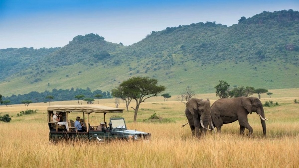 Szafari (2+5) - MASAI MARA, repülővel