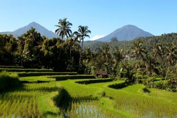 Bali: az istenek szigete - csoportos utazás tengerparti pihenéssel, magyar idegenvezetővel - 2027.02.21.-03.04.